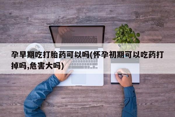 米非米索在线付款孕早期吃打胎药可以吗(怀孕初期可以吃药打掉吗,危害大吗)