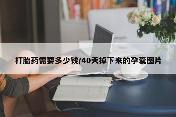 米非米索在线付款打胎药需要多少钱/40天掉下来的孕囊图片