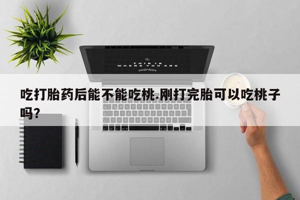 米非米索在线付款吃打胎药后能不能吃桃.刚打完胎可以吃桃子吗？