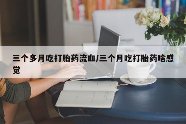 admin 第628页