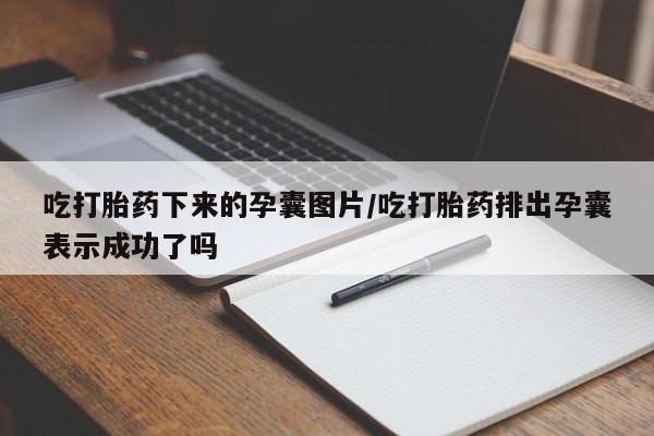 米非米索在线付款吃打胎药下来的孕囊图片/吃打胎药排出孕囊表示成功了吗